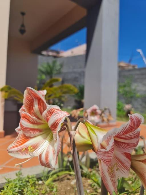 Casa Da Portada Villa Seixal  Bagian luar foto